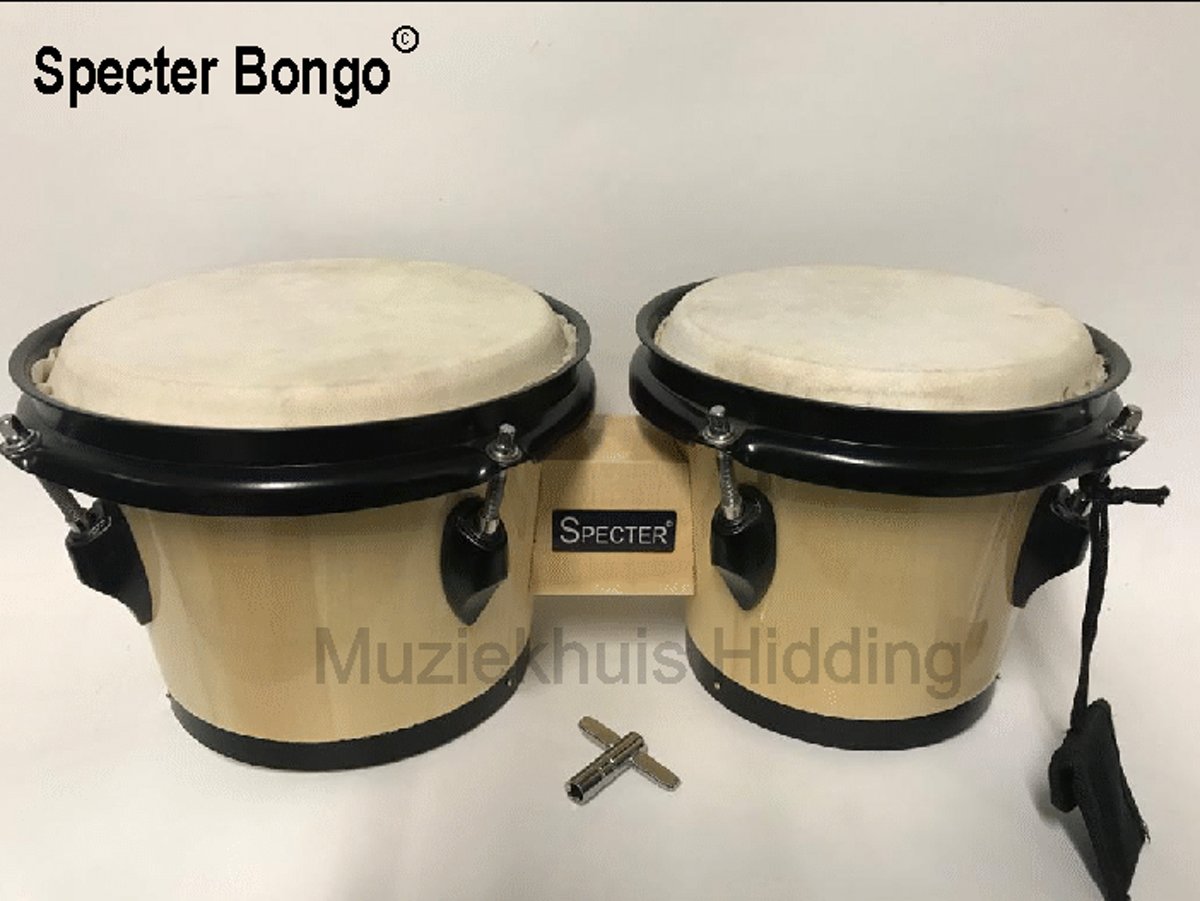 Specter Bongo, hardhout, 6,5